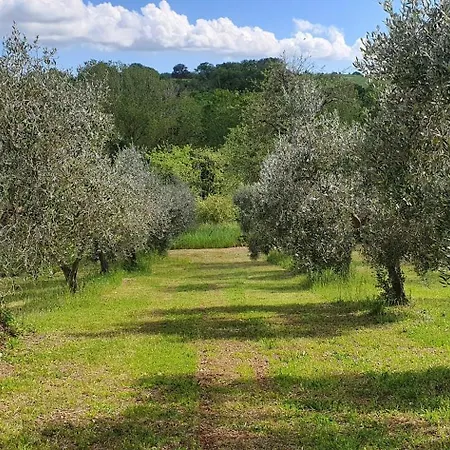Al Podere Dei Nonni Κατάλυμα σε φάρμα Preselle
